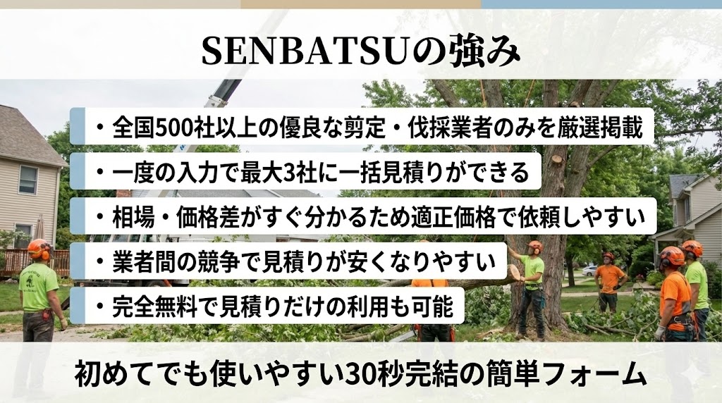 👉 業者選びで失敗したくない方はこちら【SENBATSU公式LP】