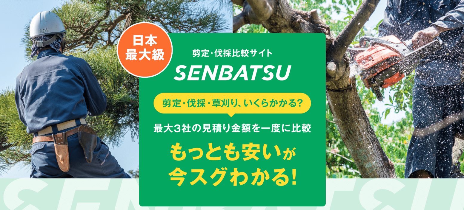 剪定・伐採なら「SENBATSU」