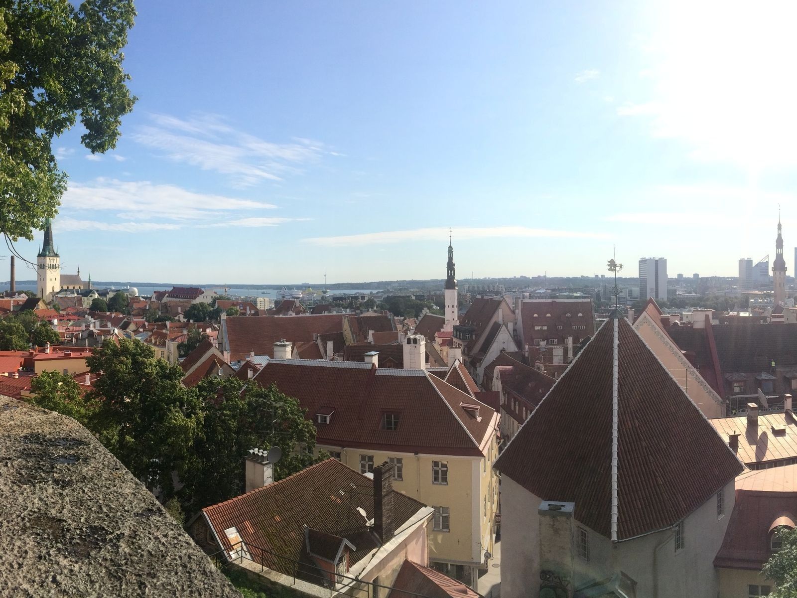 WealthPark Investment 口コミ評判