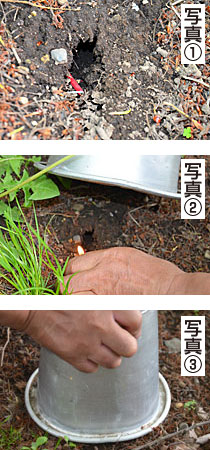 モグラ撃退に爆竹の破裂音