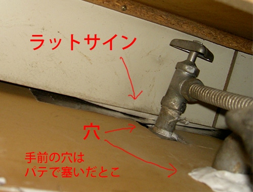天井 ラットサイン