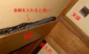 クマネズミ ラットサイン