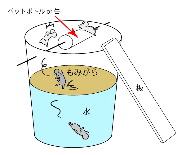 ネズミ 罠 自作 ペットボトル