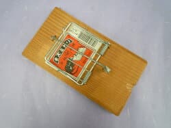 ネズミ ばね式罠