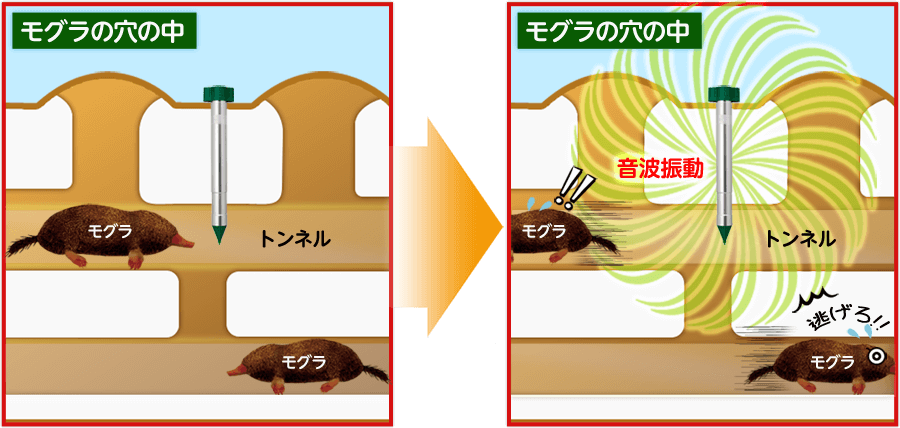 モグランはモグラが嫌がる音波・振動で、敷地内になるべく近づけない環境を作ります。