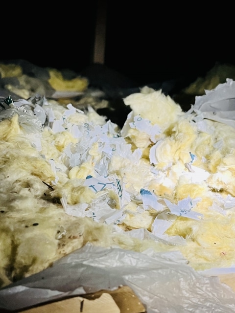 埼玉県のネズミ駆除が重要な理由と対策