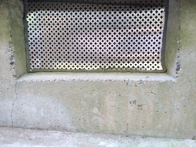 飲食店に侵入するネズミの経路