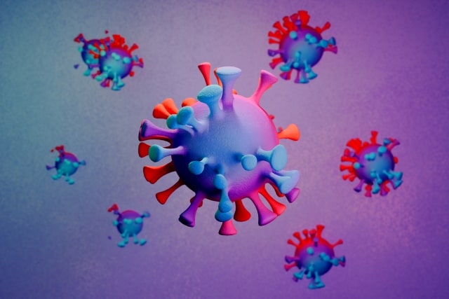 ネズミはサルモネラ菌やレプトスピラ菌などの病原菌を運びます