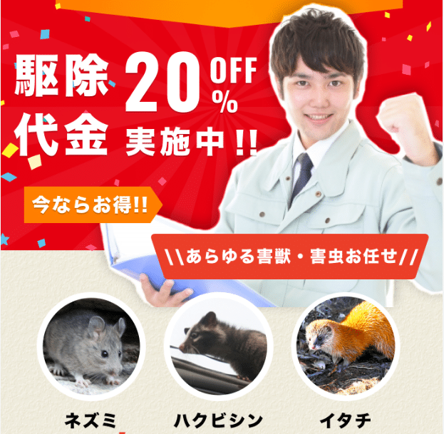 埼玉県のおすすめネズミ駆除業者は?