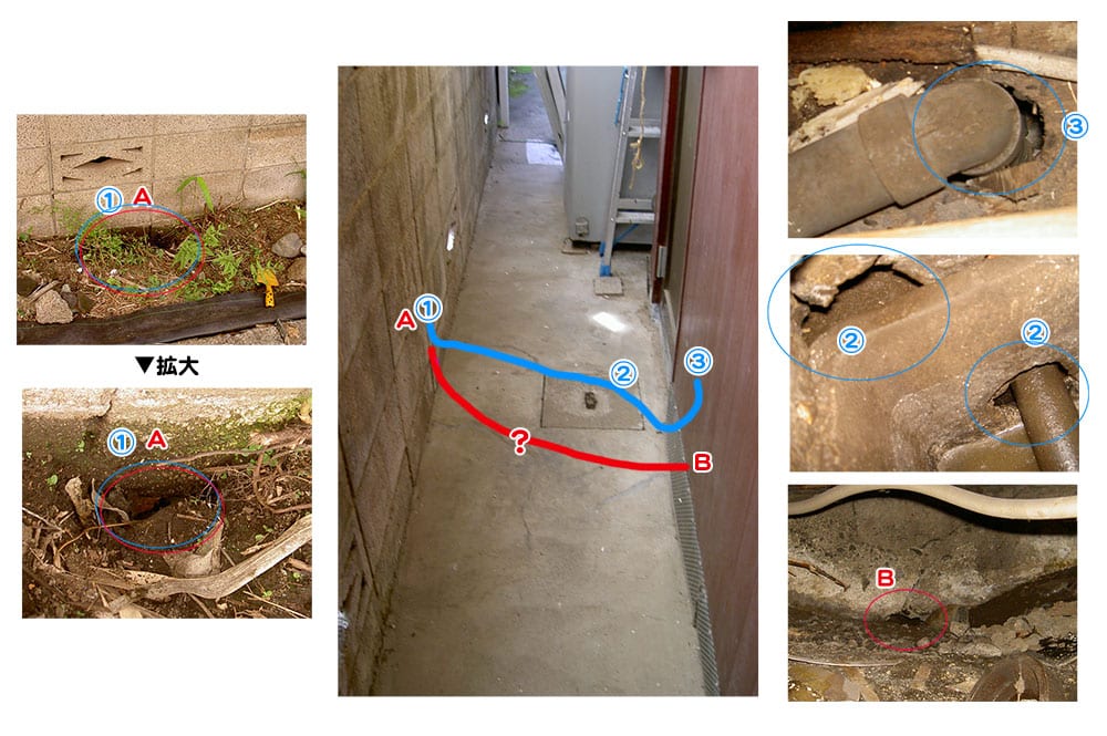 ネズミが掘った穴、うちに入り込んだクマネズミは隣の敷地からブロック塀の基礎をくぐり、床下まで続くトンネルを築きながらやってきた強者です。
