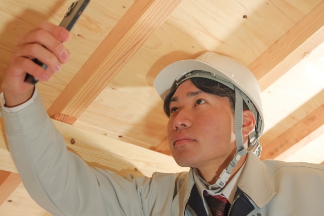 シロアリ駆除業者比較