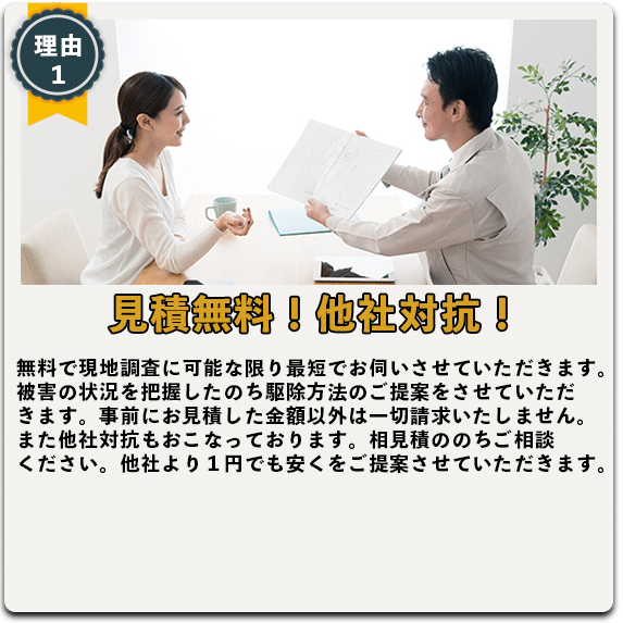 ジャパンアットレスキューのシロアリ駆除 お問い合わせ
