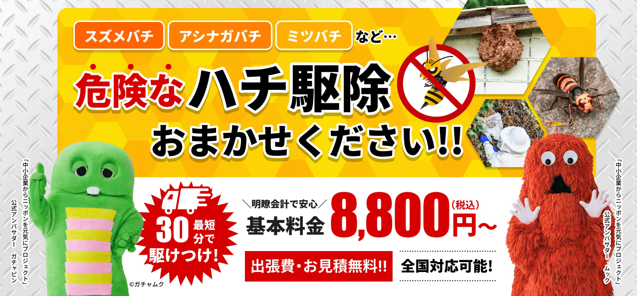 ハチ駆除専門クリーンライフ