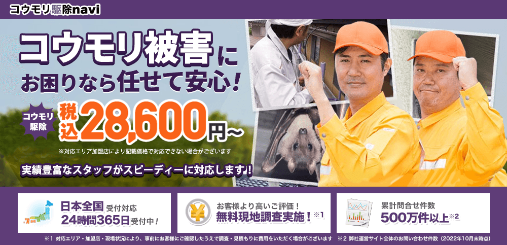 コウモリ駆除navi