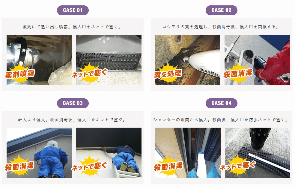 コウモリ駆除navi 評判・口コミ