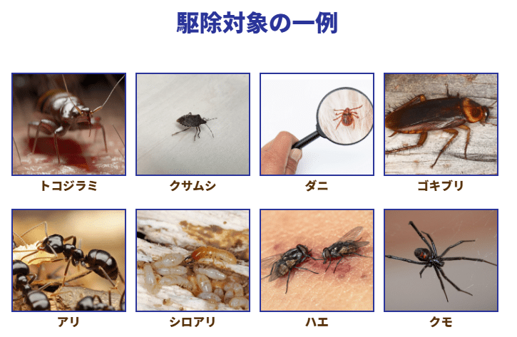害虫ファースト 評判・口コミ
