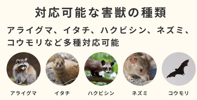 関東害獣駆除センター「ハウスガード24」