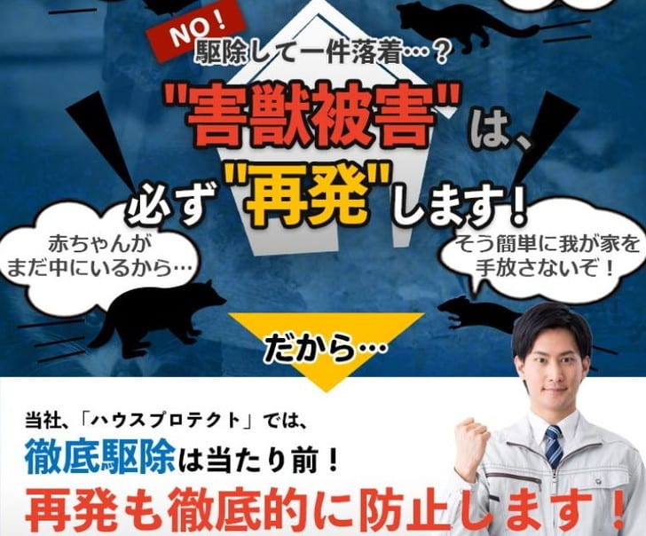 屋根裏 イタチ 駆除