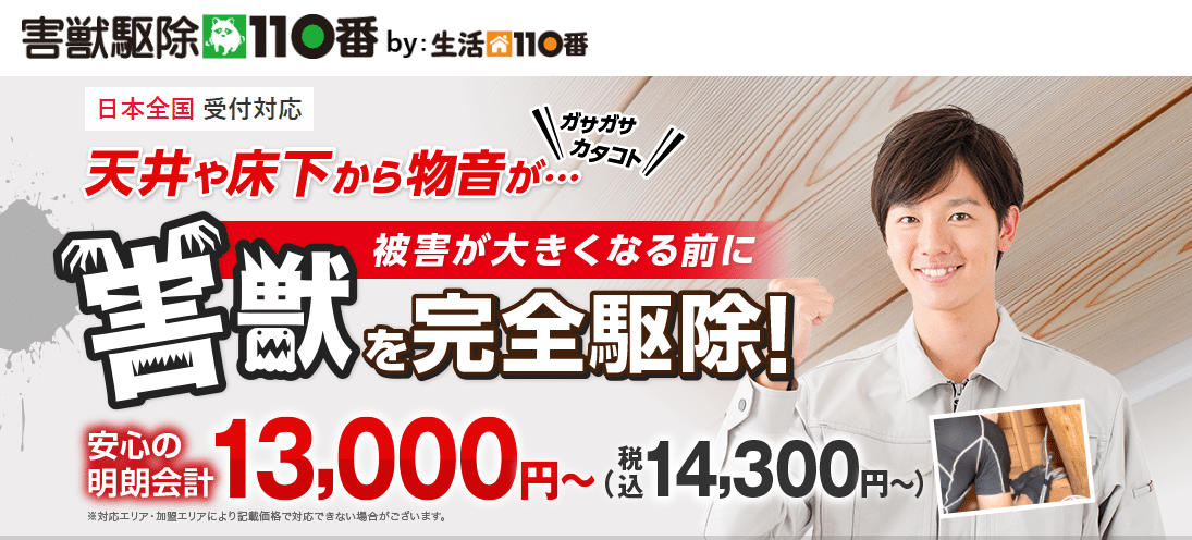 イタチ駆除 自分