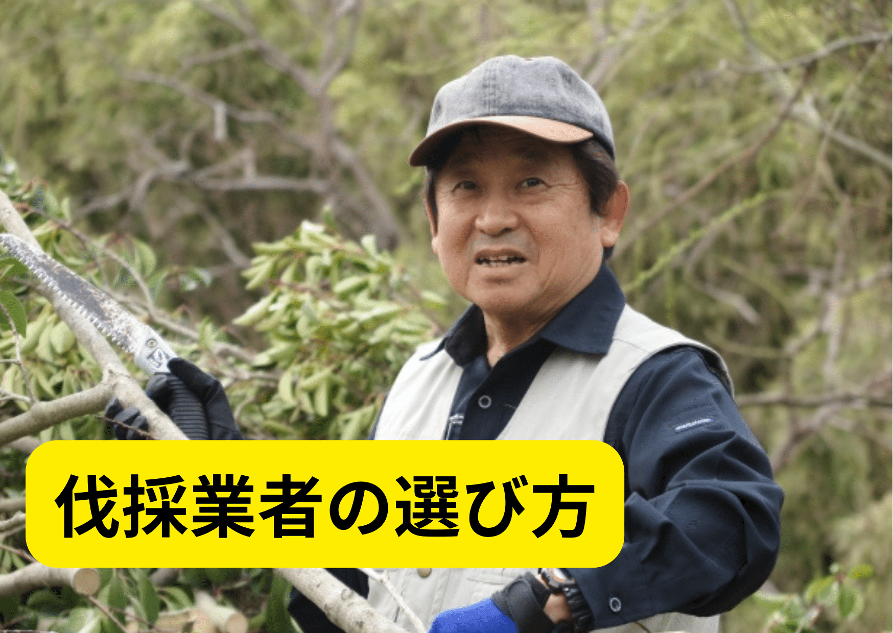 伐採業者の選び方