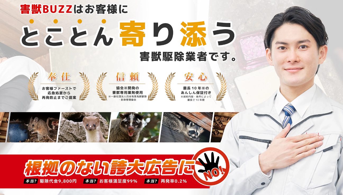 ネズミの罠 ランキング