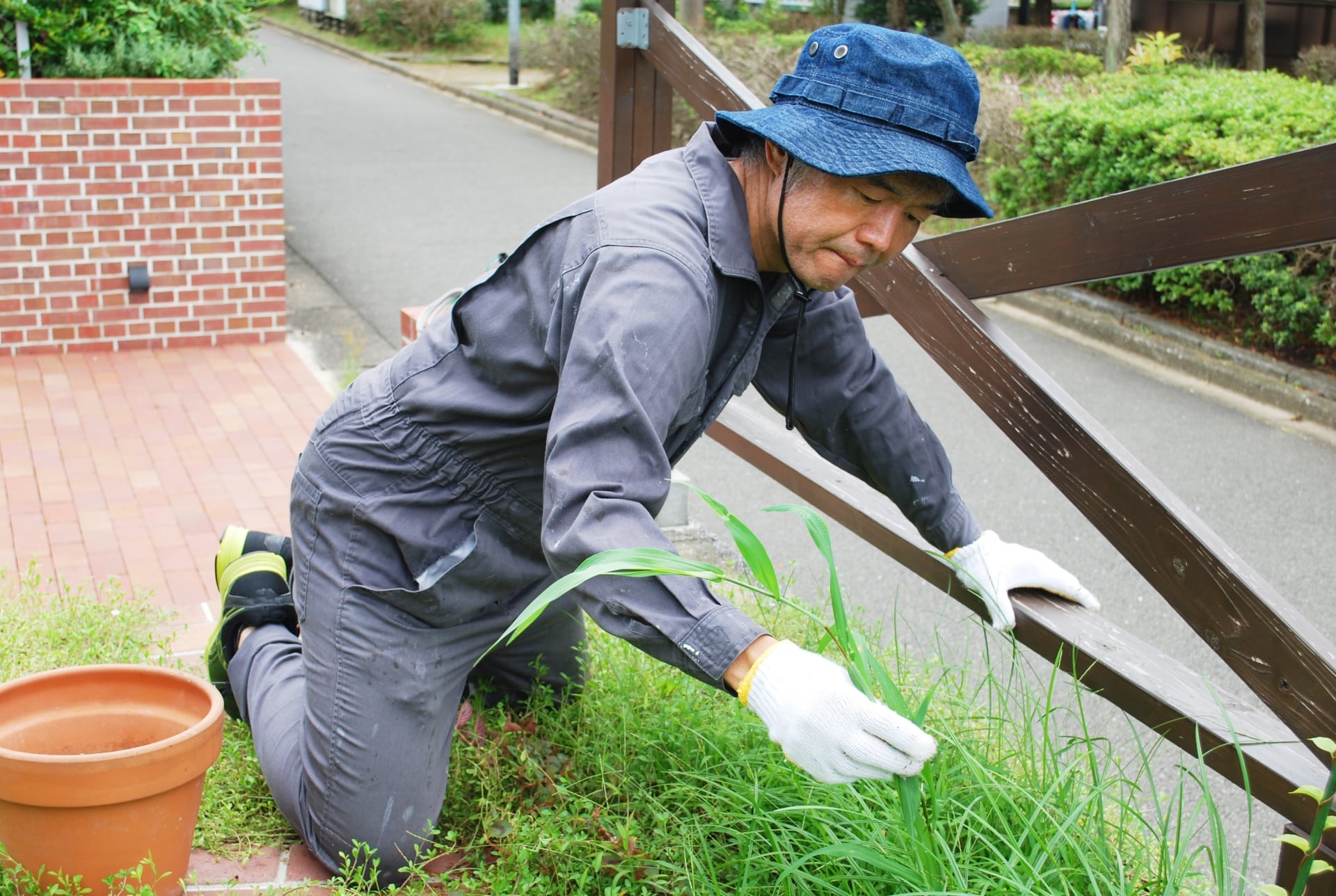 イタチ駆除 費用