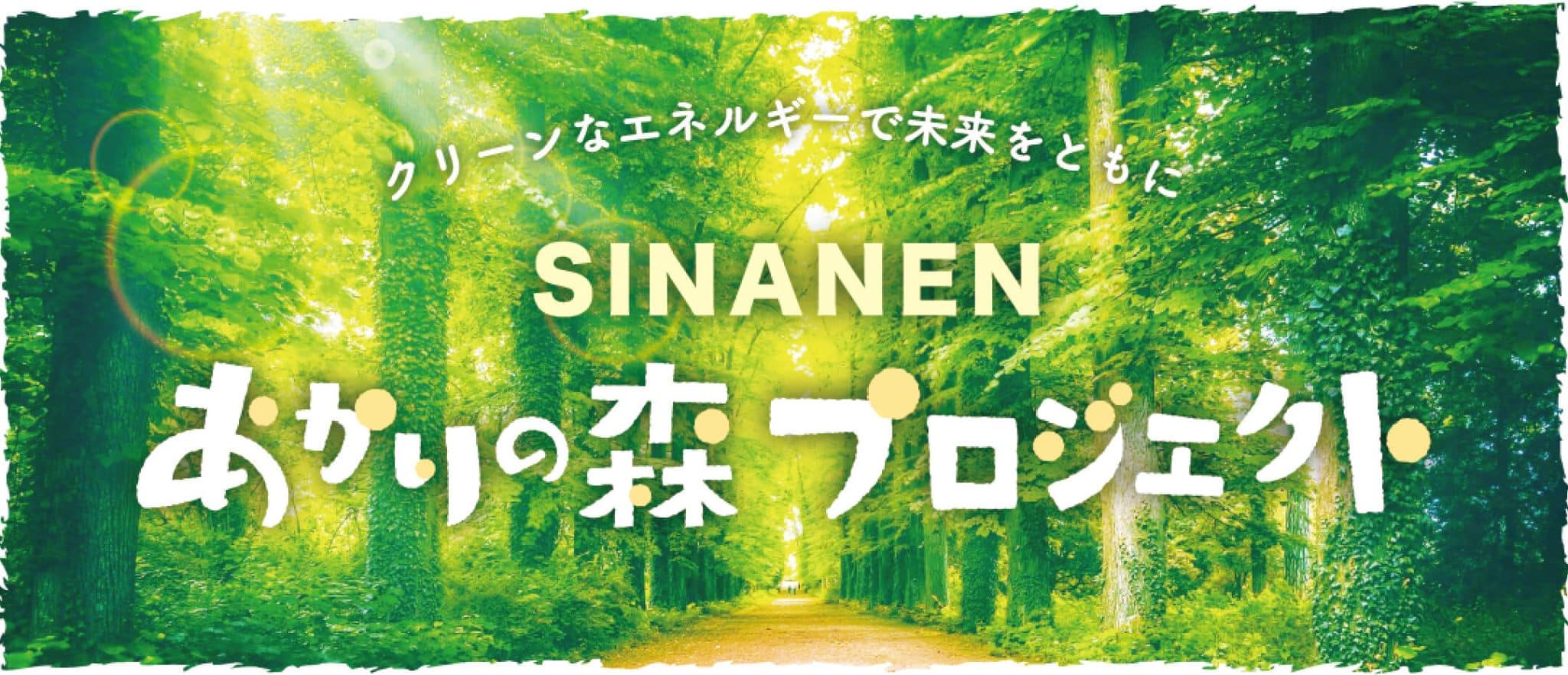 シナネンあかりの森でんき